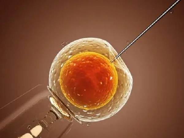 辅助生殖胚胎等级划分标准公布