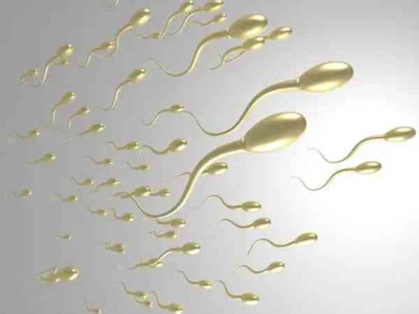 精子碎片率高怎么改善