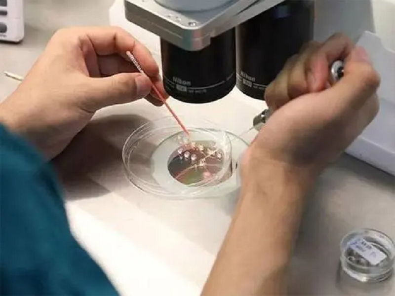 一代试管婴儿囊胚能不能做染色体检查