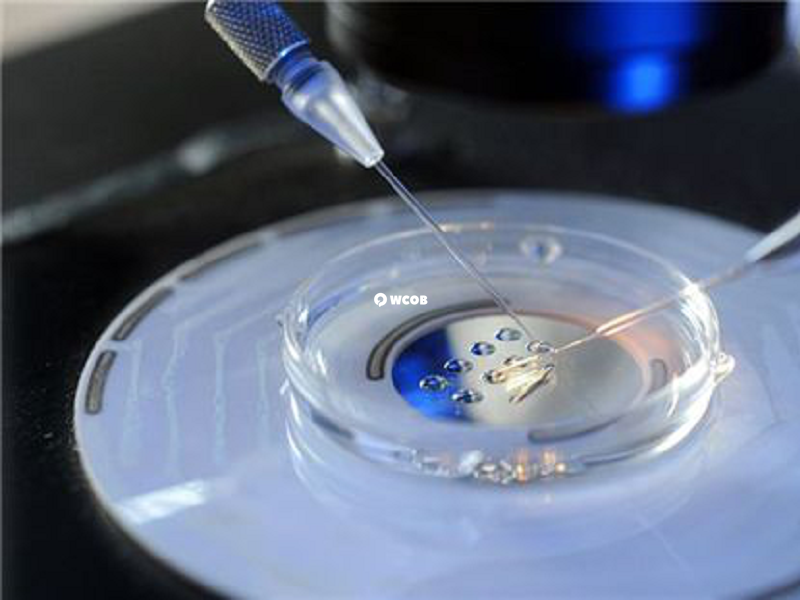 一代囊胚能做三代筛查染色体
