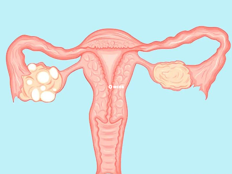 子宫内膜厚度是降调成功的一个标志