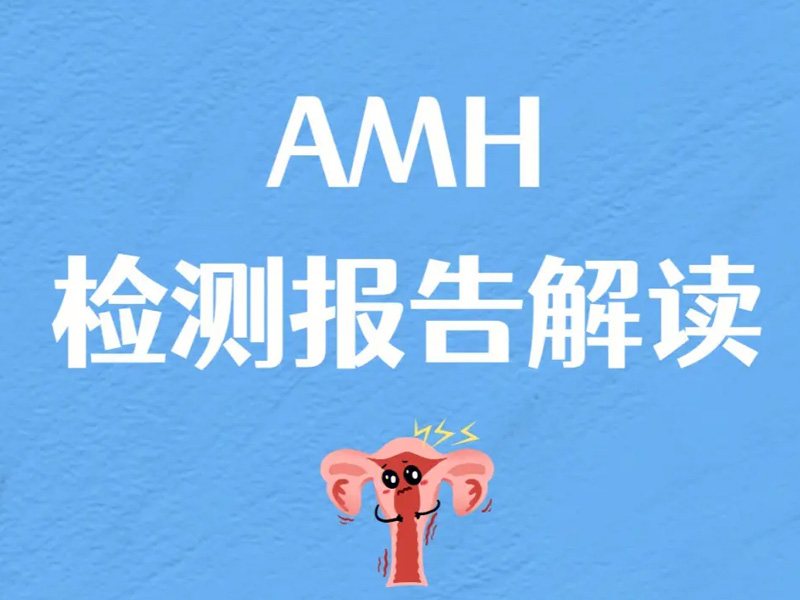 amh值0.32做试管婴儿成功率有多少