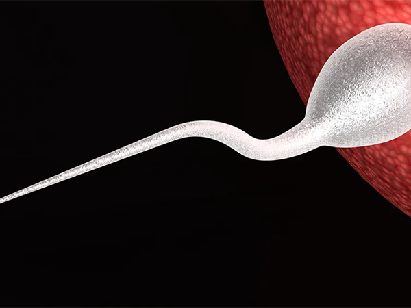 胚胎着床会有什么感觉？