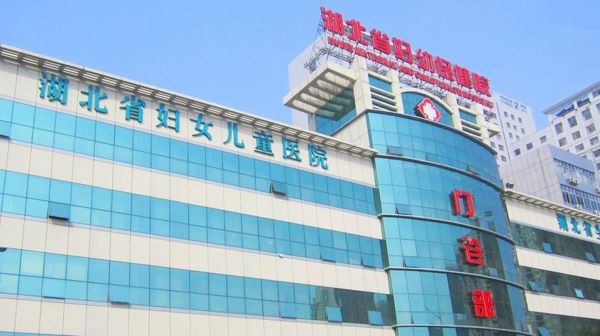 湖北省妇幼保健院试管成功率高吗