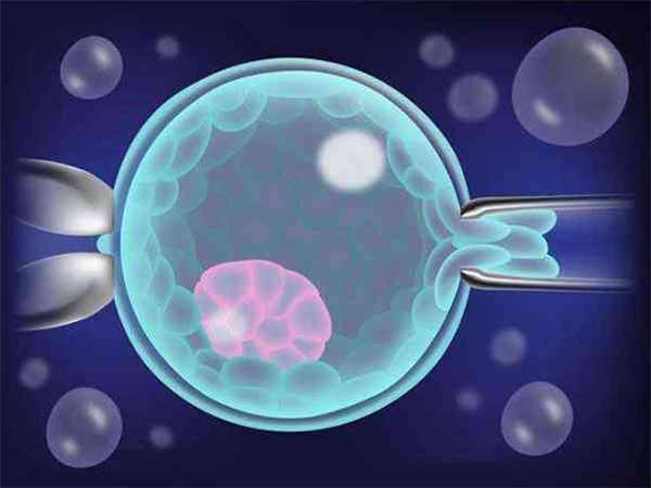 7c4级胚胎移植成功率是多少