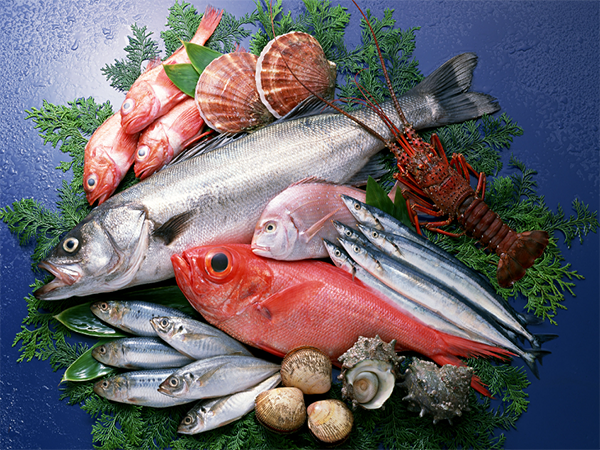 取卵术后吃海鲜对身体影响不大