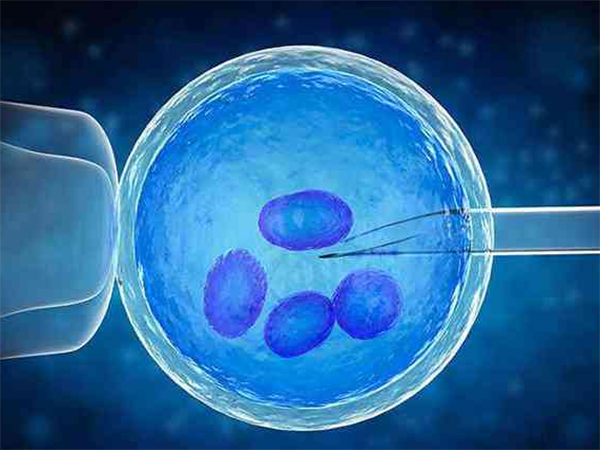 鲜胚移植8天白板现象和着床症状参考