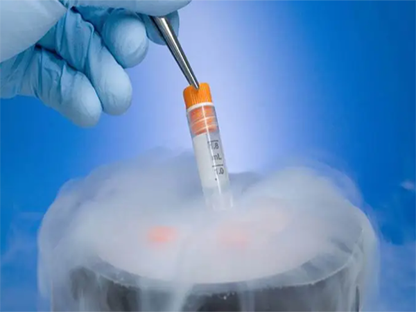 试管移植胚胎胶作用和利弊介绍