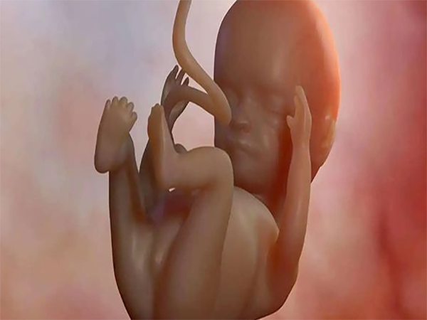 医生说胎儿撒尿暗示怀男胎