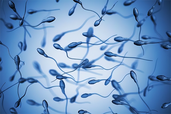 精子像水一样的原因解析