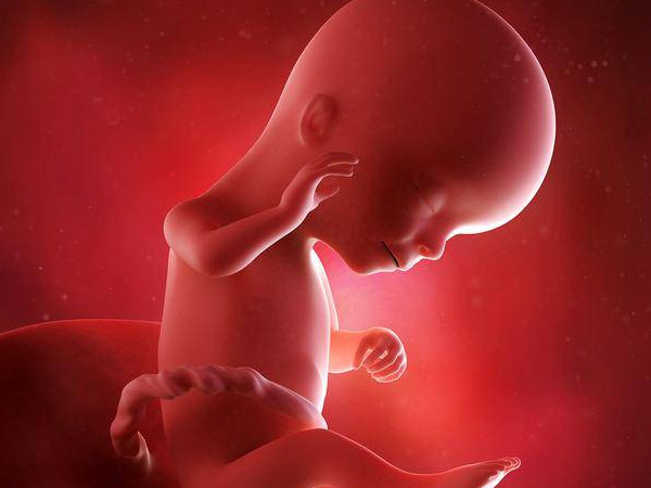 孕期如何从肚子形状看出男女