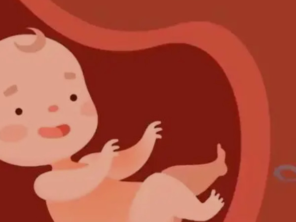 怀孕5个月听什么胎教音乐