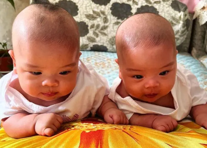 内蒙古生双胞胎医院排名