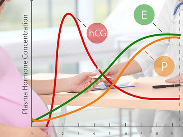 通过查HCG可以观察鲜胚是否存活