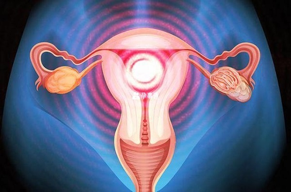 供卵试管成功率会受子宫环境影响