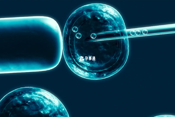 8c3胚胎是一般可移植的胚胎