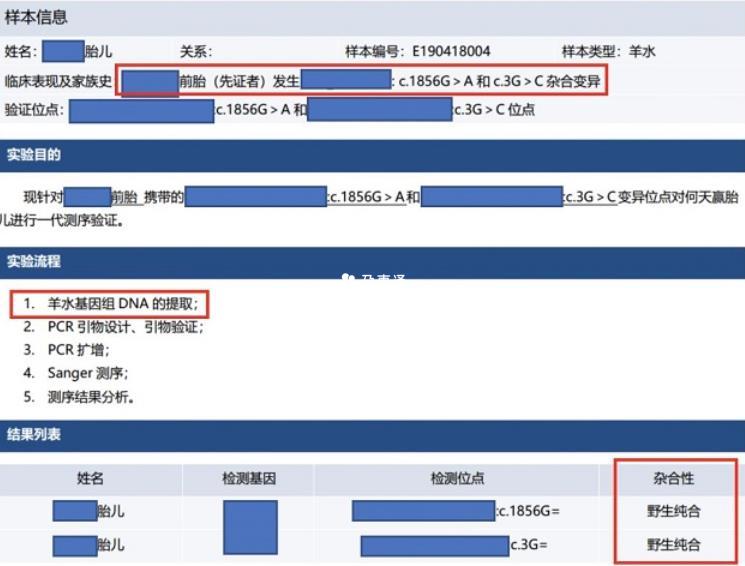 胎儿羊水穿刺检测结果示例