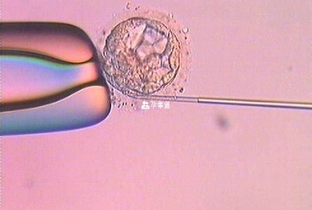 試管降調是什麼