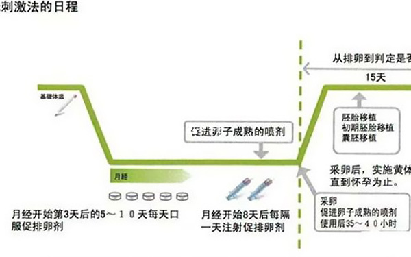 微刺激方案的流程