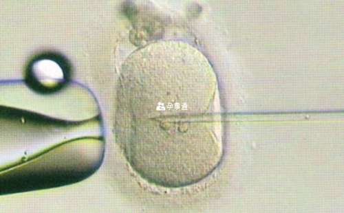 胚胎解冻时会采用复温方法