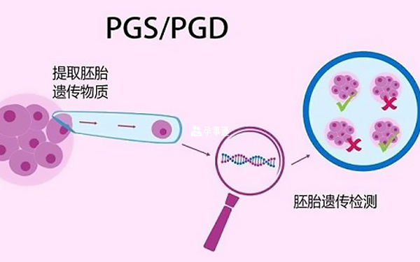PGD和PGS技术