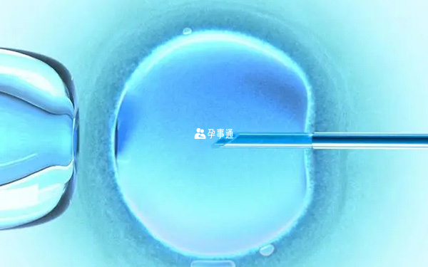 胚胎移植择机而定