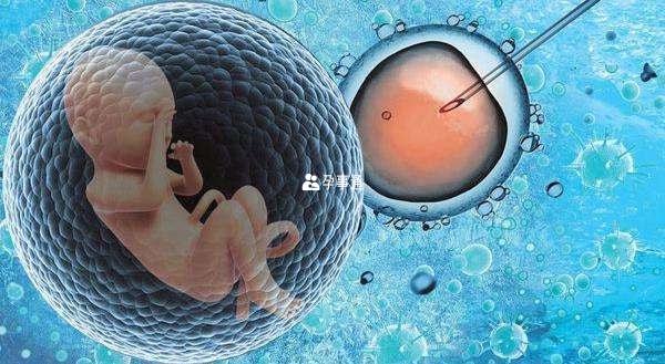 3個卵子做試管1次成功