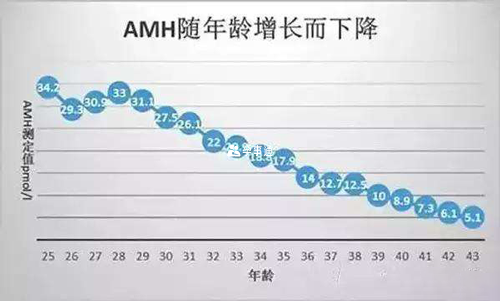 AMH的意义是什么