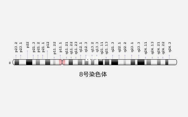 8号染色体图表