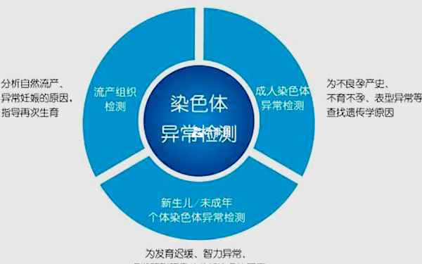 染色體檢查的作用