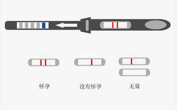 验孕棒使用结果