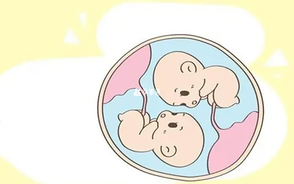 同卵双胞胎怎么形成的