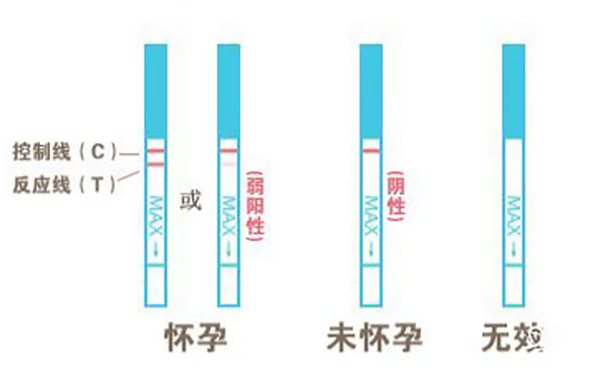 早早孕試紙怎麼用圖解