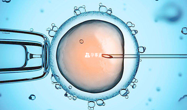 马来西亚选择胎儿合法性别