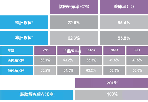 马来西亚阿儿法试管婴儿成功率