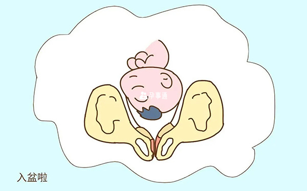 孕晚期胎儿会逐渐调整姿势