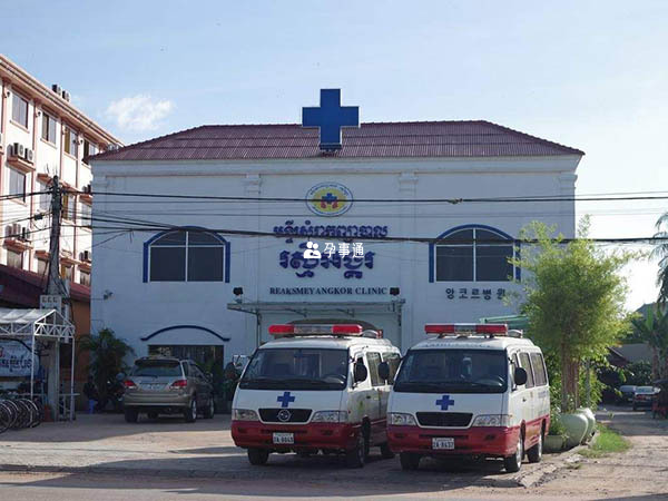 柬埔寨试管医院的费用