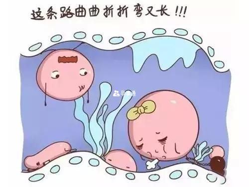 卵子和精子結合受精時間