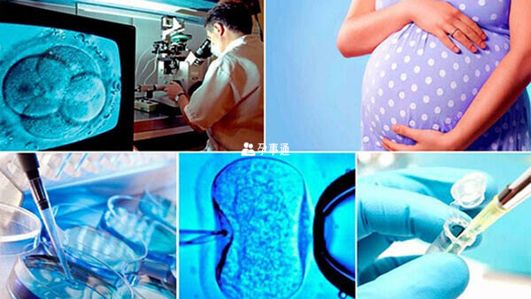 泰国试管婴儿检查项目