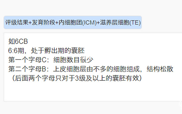 囊胚6cb是什麼級別