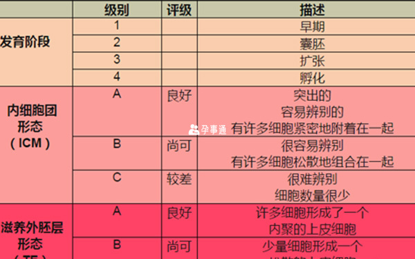 移植4aa囊胚成功率如何