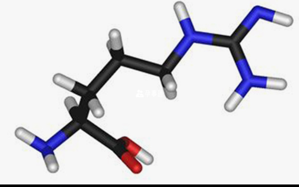 什麼是精氨酸