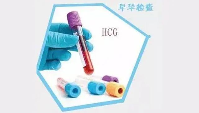 测HCG的作用