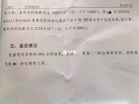 父親親子鑑定證明