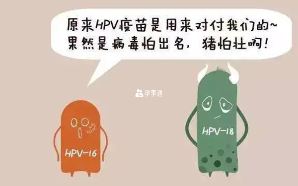 hpv疫苗是什么