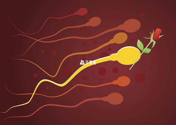 精子异常容易导致死胎