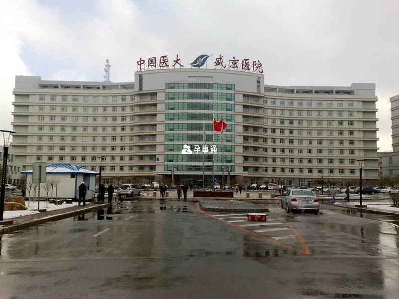辽宁省试管婴儿医院