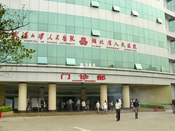 武汉大学人民医院是综合医院