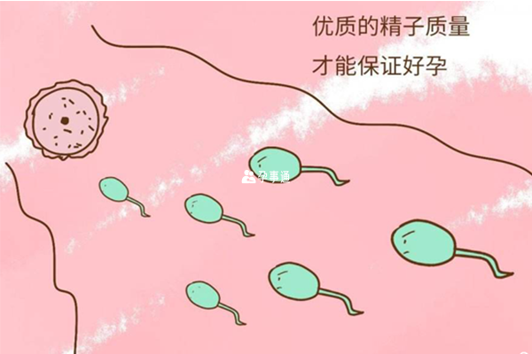 一般情况下，ab级的精子达到50%以上才能够自然怀孕