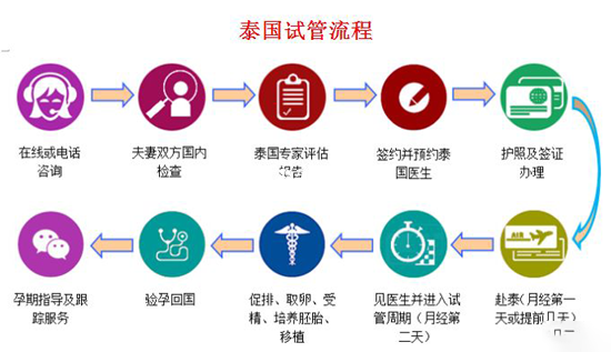 泰國試管嬰兒流程圖